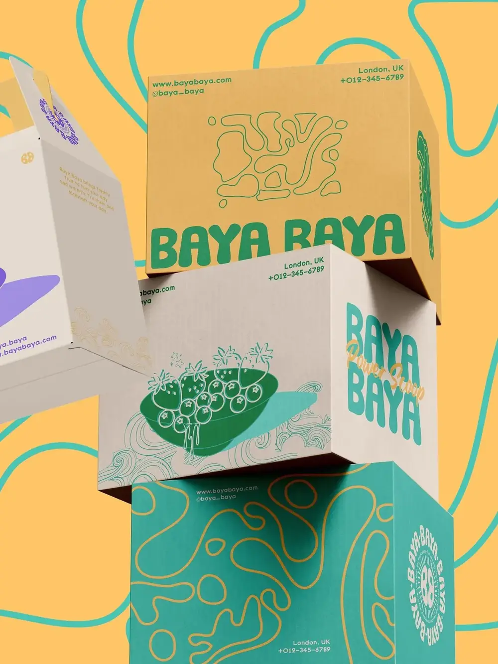 Bursa Karton Kutu