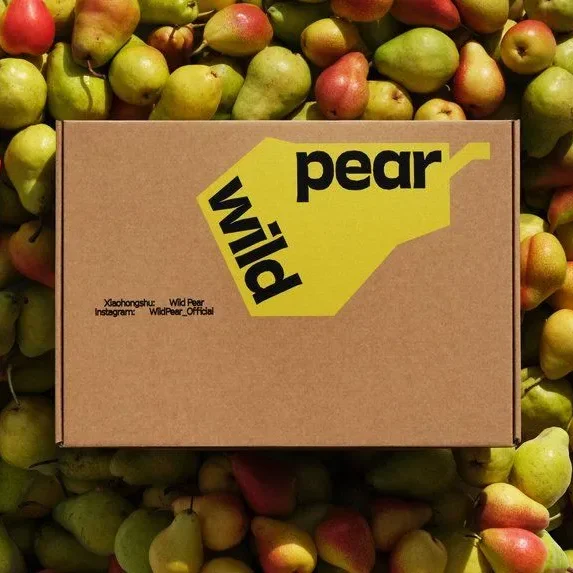 Baskılı koli ile marka algısını güçlendirin